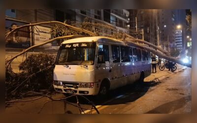 Pudo SER UNA Tragedia: Árbol cae sobre cúster con escolares en Jesús María [Video]