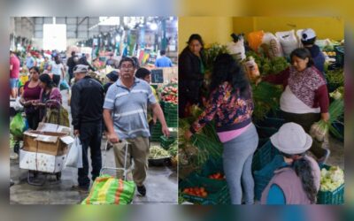 Aumento del pollo a más de S/12 eleva a S/60 el costo diario de la canasta básica en Perú