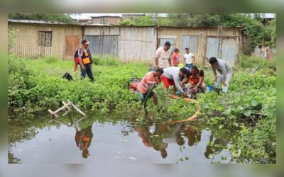 Minsa activa Alerta epidemiológica por leptospirosis: más de 1.000 casos en Perú