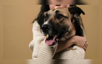 Nuestra vida con los Perros comenzó mucho antes de lo que creíamos